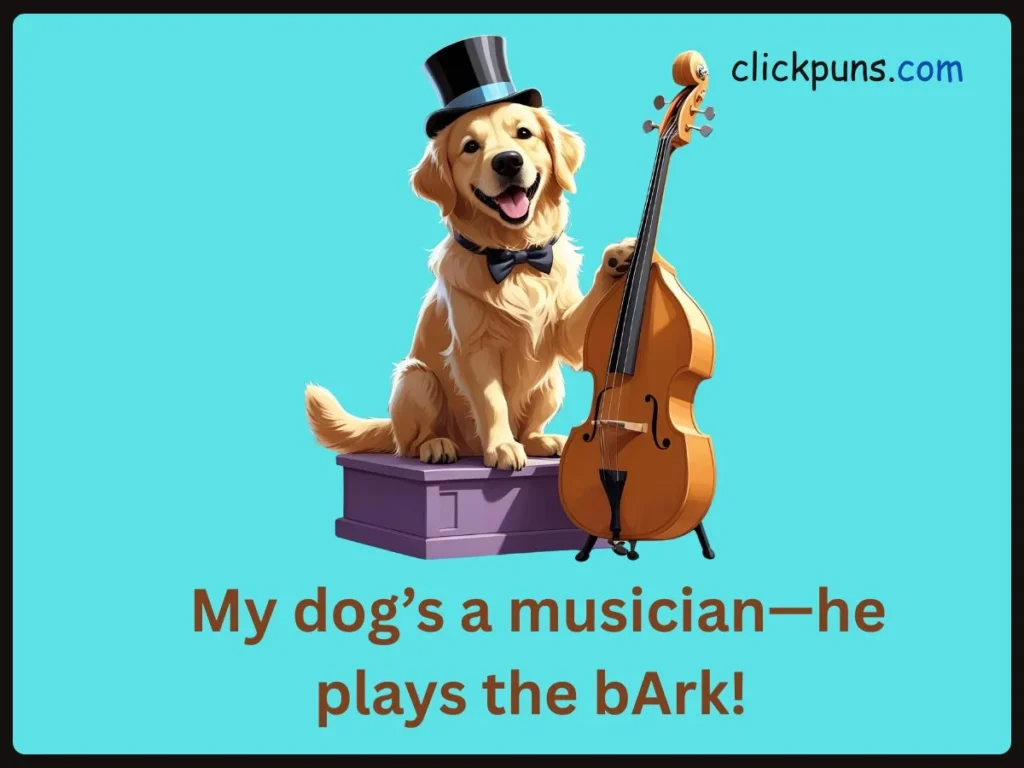 Terrible Jokes That Are Funny