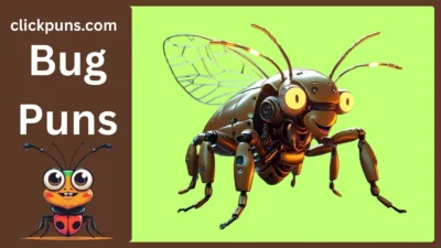 Bug Puns
