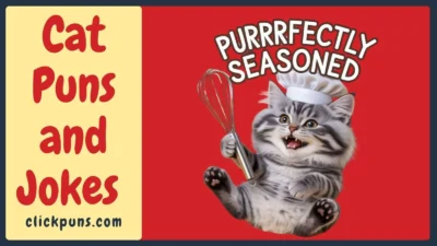 Cat Puns