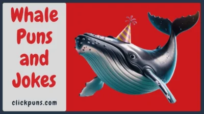 Whale Puns