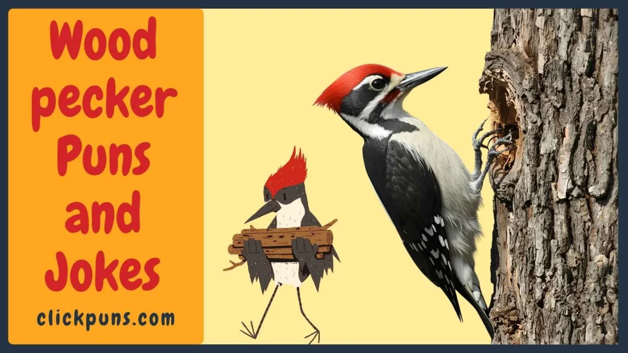 Woodpecker Puns