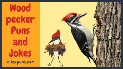 Woodpecker Puns