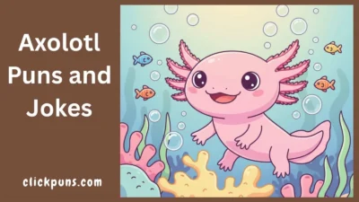 Axolotl Puns